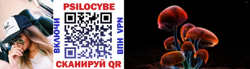 Псилоцибиновые грибы Magic Shrooms  Купить  Грозный 