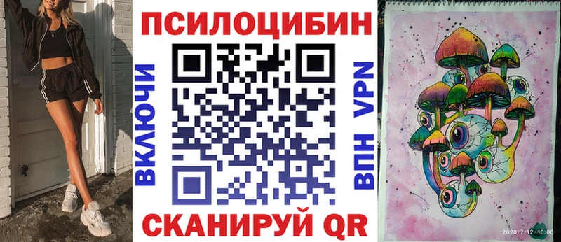 Галлюциногенные грибы Psilocybine cubensis Грозный