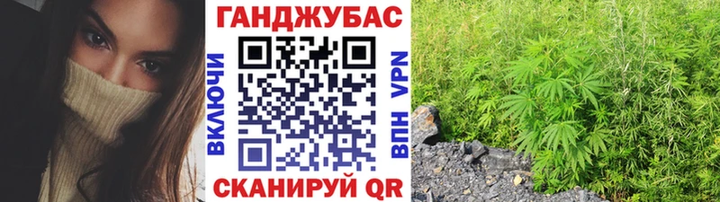Купить Грозный Конопля сатива